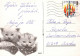 CHIEN Animaux Vintage Carte Postale CPSM #PAN670.A - Chiens