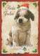 CHIEN Animaux Vintage Carte Postale CPSM #PAN545.A - Chiens