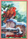 VOGEL Tier Vintage Ansichtskarte Postkarte CPSM #PAN041.A - Birds