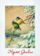 BIRD Animals Vintage Postcard CPSM #PAM856.A - Birds