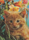 CAT KITTY Animals Vintage Postcard CPSM #PAM521.A - Chats