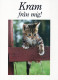 CAT KITTY Animals Vintage Postcard CPSM #PAM511.A - Chats