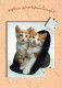 KATZE MIEZEKATZE Tier Vintage Ansichtskarte Postkarte CPSM Unposted #PAM305.A - Cats