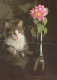 GATTO KITTY Animale Vintage Cartolina CPSM #PAM173.A - Katzen