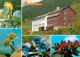 72722115 Lackenhof Gaming Oetscherhaus Alpenflora Lackenhof Gaming - Autres & Non Classés