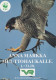 PÁJARO Animales Vintage Tarjeta Postal CPSM #PBR430.A - Oiseaux