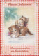 KATZE MIEZEKATZE Tier Vintage Ansichtskarte Postkarte CPSM #PBQ842.A - Katzen