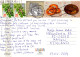 ENGEL Weihnachten Vintage Ansichtskarte Postkarte CPSM #PBP631.A - Engel