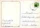 EASTER RABBIT Vintage Postcard CPSM #PBO501.A - Ostern