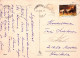 ENFANTS Scènes Paysages Vintage Carte Postale CPSM #PBU425.A - Scenes & Landscapes