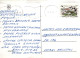 NIÑOS Escenas Paisajes Vintage Tarjeta Postal CPSM #PBU273.A - Scenes & Landscapes