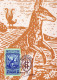 KANGOUROU Animaux Vintage Carte Postale CPSM #PBS973.A - Autres & Non Classés