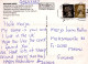 RAM Animaux Vintage Carte Postale CPSM #PBS603.A - Autres & Non Classés