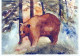 BEAR Animals Vintage Postcard CPSM #PBS355.A - Ours