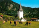 72721034 Bad Oberdorf Viehweide Kuehe Kirche Bad Oberdorf - Hindelang