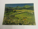 CP CARTE POSTALE CANTAL Le PUY MARY - Ecrite En 1983 - Other & Unclassified