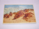 CP CARTE POSTALE BELGIQUE DUNES - Ecrite En 1966 - Other & Unclassified