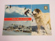 CP CARTE POSTALE ANDORRE PAS De La CASE VUES DIVERSES - Ecrite En 1984 - Andorre