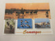 CP CARTE POSTALE GARD CAMARGUE CHEVAUX FLAMANTS ROSES TAUREAUX - Ecrite - Andere & Zonder Classificatie