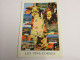 CP CARTE POSTALE CORSE Les VINS CORSE PATRIMONIO SARTENE CALVI ALERIA - Ecrite - Other & Unclassified