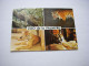 CP CARTE POSTALE CHARENTE MARITIME ROYAN ZOO De La PALMYRE - Ecrite - Royan