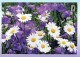 FLOWERS Vintage Ansichtskarte Postkarte CPSM #PAS521.DE - Blumen