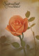 FLOWERS Vintage Ansichtskarte Postkarte CPSM #PAS341.DE - Blumen