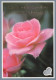 FLOWERS Vintage Ansichtskarte Postkarte CPSM #PAS221.DE - Blumen