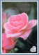 FLOWERS Vintage Ansichtskarte Postkarte CPSM #PAS221.DE - Fleurs