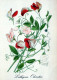 FLOWERS Vintage Ansichtskarte Postkarte CPSM #PAR319.DE - Fleurs