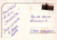 HUND Tier Vintage Ansichtskarte Postkarte CPSM #PAN494.DE - Hunde