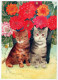 KATZE MIEZEKATZE Tier Vintage Ansichtskarte Postkarte CPSM #PAM555.DE - Katzen