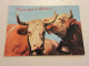 CP CARTE POSTALE MESSAGE DEUX VACHES : Parle-moi D'Amour... - Ecrite En 1970     - Vaches