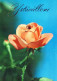 FLORES Vintage Tarjeta Postal CPSM #PAS279.ES - Blumen