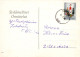 FLORES Vintage Tarjeta Postal CPSM #PAS099.ES - Blumen