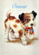 PERRO Animales Vintage Tarjeta Postal CPSM #PAN820.ES - Hunde