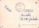 GATO GATITO Animales Vintage Tarjeta Postal CPSM #PAM365.ES - Chats