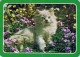 GATO GATITO Animales Vintage Tarjeta Postal CPSM #PAM365.ES - Chats