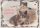 GATO GATITO Animales Vintage Tarjeta Postal CPSM #PAM553.ES - Chats