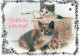 GATO GATITO Animales Vintage Tarjeta Postal CPSM #PAM553.ES - Cats