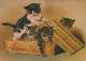 GATO GATITO Animales Vintage Tarjeta Postal CPSM #PAM430.ES - Cats