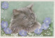 GATO GATITO Animales Vintage Tarjeta Postal CPSM #PAM492.ES - Chats