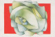 FLOWERS Vintage Ansichtskarte Postkarte CPSM #PBZ568.DE - Fleurs