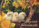 OSTERN HUHN EI Vintage Ansichtskarte Postkarte CPSM #PBO926.DE - Easter