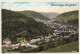 Calw / Schwarzwald: Höhere Handelschule (Vintage PC 1910) - Calw