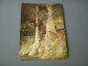 CP CARTE POSTALE PYRENEES ATLANTIQUES Les GROTTES De BETHARRAM FORMATION COLONNE - Other & Unclassified