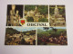 CP CARTE POSTALE PUY De DOME ORCIVAL VUES DIVERSES EGLISE - Vierge - Autres & Non Classés