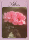 FLEURS Vintage Carte Postale CPSM #PAS100.FR - Flowers