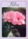 FLEURS Vintage Carte Postale CPSM #PAS100.FR - Flowers