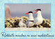 PÁJARO Animales Vintage Tarjeta Postal CPSM #PBR495.ES - Pájaros